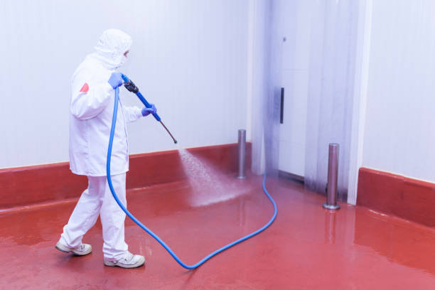 Best Paint Preparation  in West Hazleton, PA